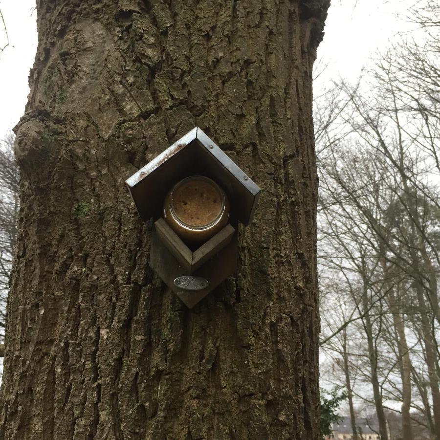 B&B Van Beijden Overasselt Luaran gambar