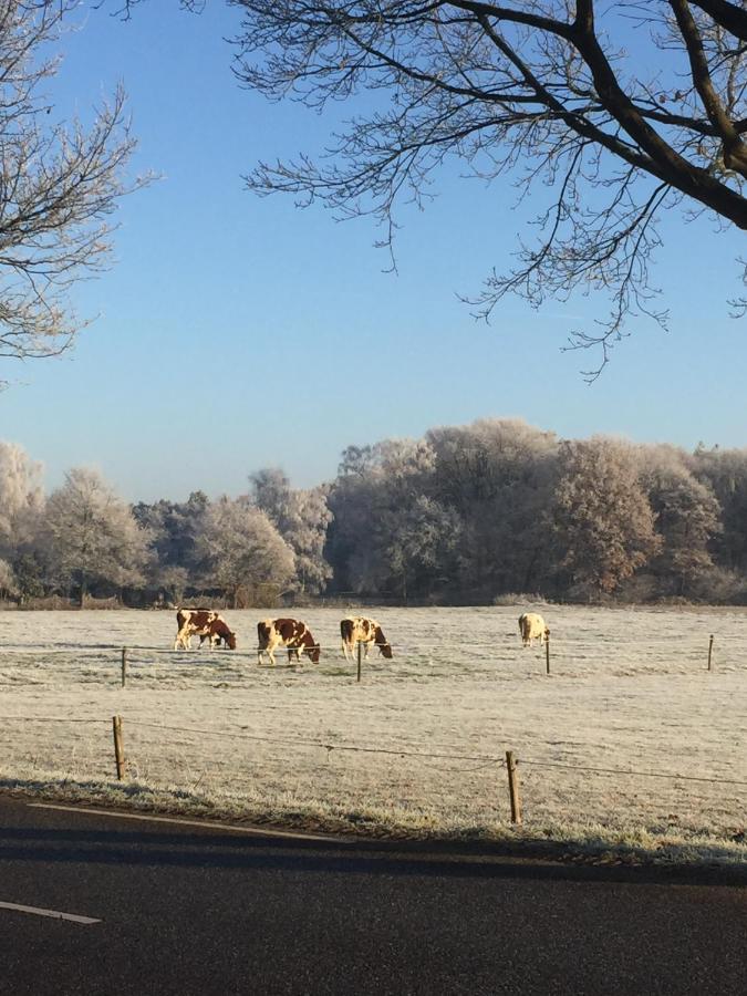 B&B Van Beijden Overasselt Luaran gambar